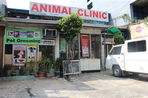pasay city animal shelter|Animal Shelter Veterinary Clinic in Pasig City, Metro Manila.